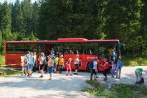Medtem je na Mašin žago prispel avtobus title=