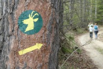 Usmerjajo nas znaki gamsa title=