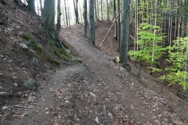 Križišče, kjer se učna pot obrne ostro desno; naprej je neoznačena pot proti železniški postaji Ruta in Štiblerjevemu vrhu title=