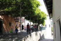 Streha iz glicinije title=