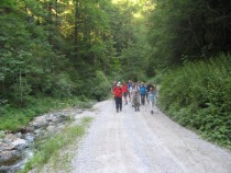 Proti partizanski ridi title=