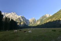 Jutro. Mangart, Bukovnik in Poldnik title=