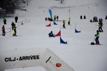 Sodelovalo je veliko domačih in tujih tekmovalcev title=