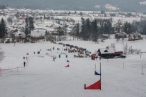 Pogled 