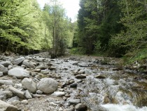 Neodkrita struga potoka title=