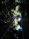 Vrt Majorelle title=