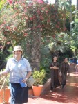 Vrt Majorelle title=