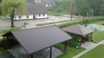 Slepnica je najprej prestopila strugo pri Grabenvirtu, foto Emiljana Vodušek title=