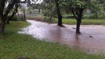 Potoček s polja pod šolo je do Kurje vasi zrasel v potok, foto Tamara Jaunig title=