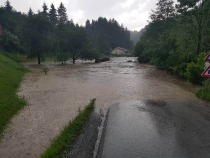 Cesta proti Lehnu, foto Branko Omerzu title=