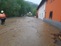 Marles, foto Branko Omerzu title=