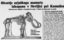 O najdbi je obširno poročalo tudi slovensko časopisje title=