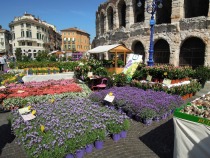 Verona – arena title=