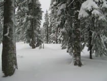 Vidna sled od ogledne ture prejšnjega dne title=