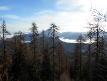 Pogled proti Pohorju in Uršlji gori title=